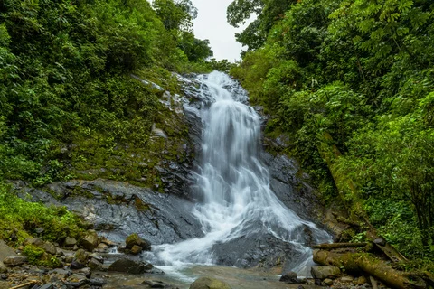 Cachoeira cercada de vegetação